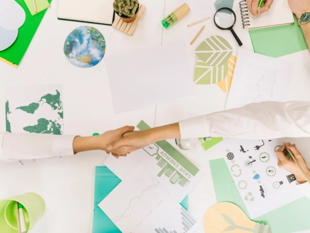 Green Business in Management: Why Sustainability Matters